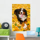 Bernese Mountain Dog Wall Mural