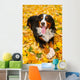Bernese Mountain Dog Wall Mural