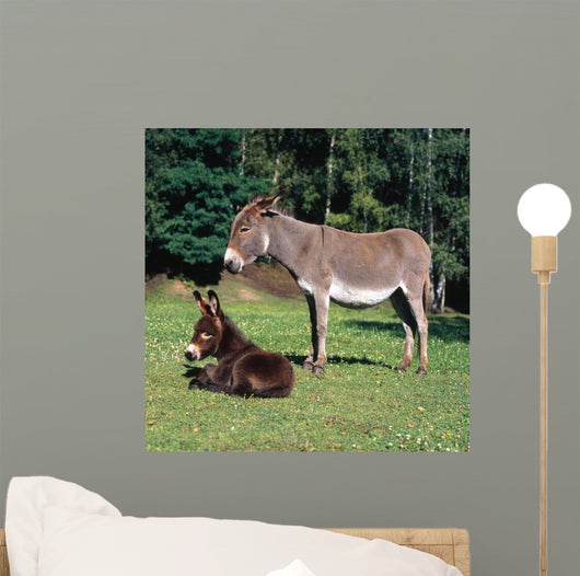 Esel112974 Wall Mural