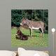 Esel112974 Wall Mural