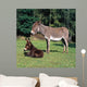Esel112974 Wall Mural