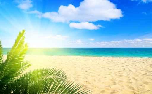 Sand and Ocean Wall Decal