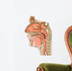 anatomy of the nose and throat Wall Decal