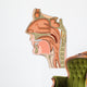 anatomy of the nose and throat Wall Decal