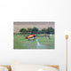 Hlicoptre RC Thermique Wall Mural