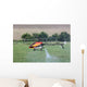 Hlicoptre RC Thermique Wall Mural