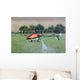 Hlicoptre RC Thermique Wall Mural