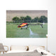 Hlicoptre RC Thermique Wall Mural
