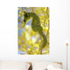 Beautiful Seahorse amongst Weeds Wall Decal