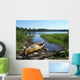 Canoe Lake Wall Decal