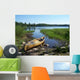 Canoe Lake Wall Decal