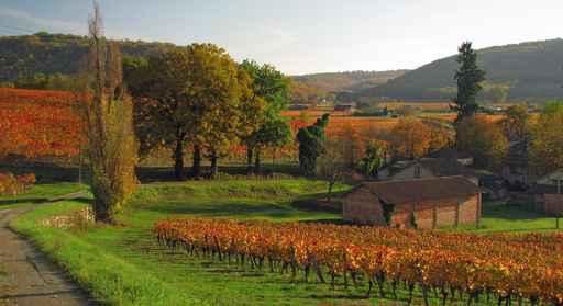 Fall from Lot Valley Wall Decal Design 1