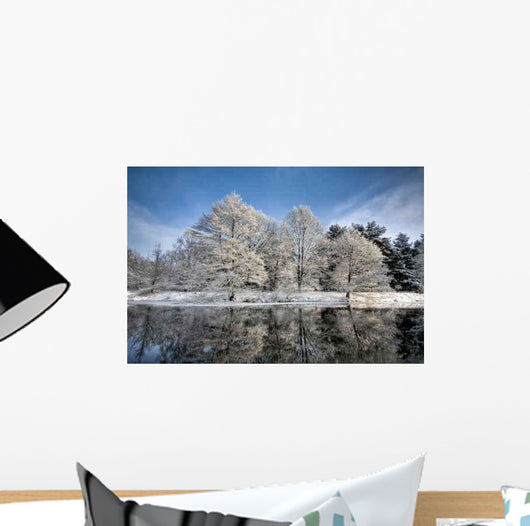 Lake Scene Winter Wall Decal
