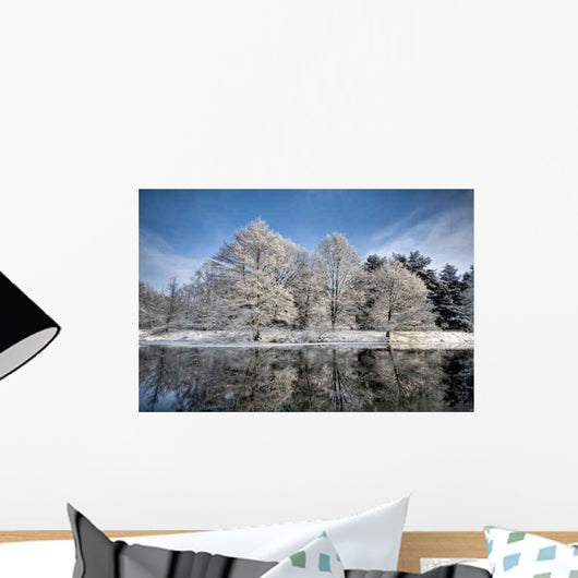 Lake Scene Winter Wall Decal