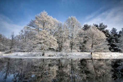 Lake Scene Winter Wall Decal