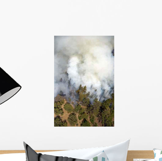 Smoke Plume Wall Decal