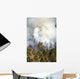 Smoke Plume Wall Decal