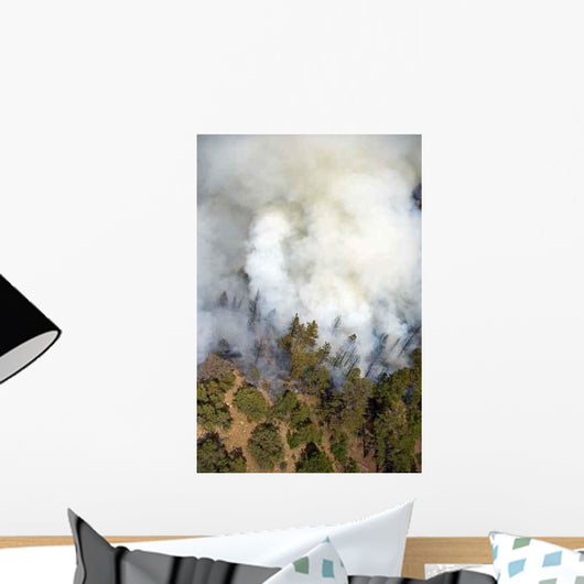 Smoke Plume Wall Decal