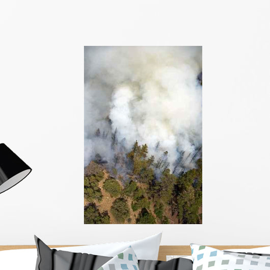 Smoke Plume Wall Decal