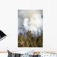 Smoke Plume Wall Decal
