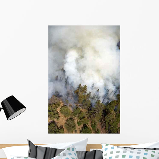Smoke Plume Wall Decal