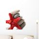 Starfish and Pebble Wall Decal