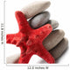 Starfish and Pebble Wall Decal