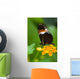 Heliconius Tropical Butterfly Lantana Wall Mural