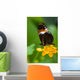 Heliconius Tropical Butterfly Lantana Wall Mural
