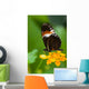 Heliconius Tropical Butterfly Lantana Wall Mural