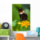 Heliconius Tropical Butterfly Lantana Wall Mural
