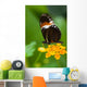 Heliconius Tropical Butterfly Lantana Wall Mural