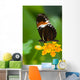 Heliconius Tropical Butterfly Lantana Wall Mural