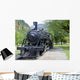 The Old Train to Newhalem Washington Wall Mural