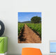 Vine Trellis Wall Decal