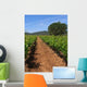 Vine Trellis Wall Decal