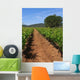 Vine Trellis Wall Decal