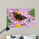 Butterfly Wall Mural