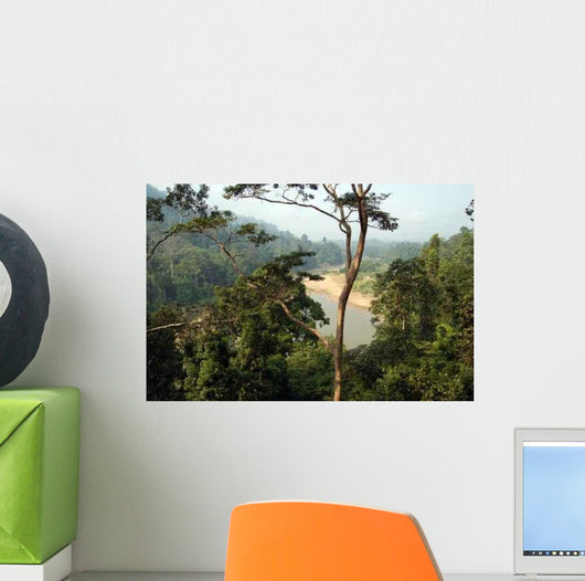 Taman Negara Forest Wall Decal
