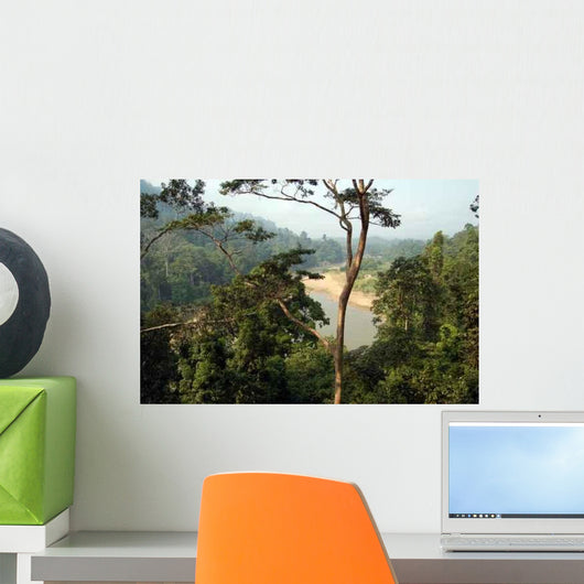 Taman Negara Forest Wall Decal