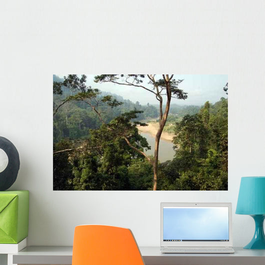 Taman Negara Forest Wall Decal
