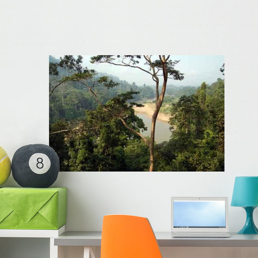 Taman Negara Forest Wall Decal