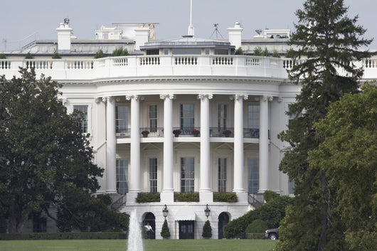 White House Washington Dc Wall Mural