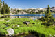 Alpine Lake Wall Mural