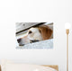 Dog Waiting Wall Mural