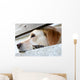 Dog Waiting Wall Mural