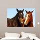 two thoroughbreds Wall Mural