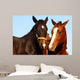 two thoroughbreds Wall Mural