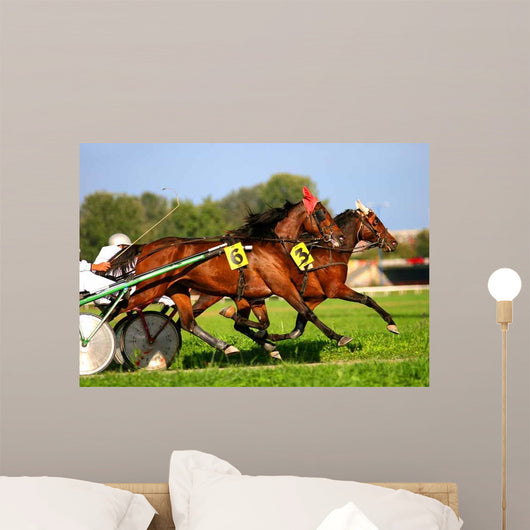 Harness Racing Wall Decal