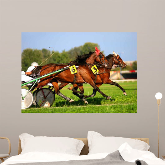 Harness Racing Wall Decal